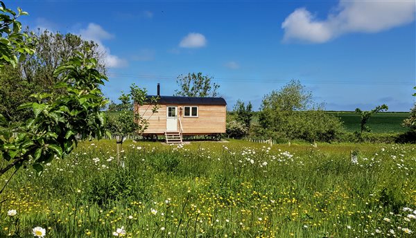 Shepherd's hut in field